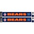 NFL Team: Chicago Bears