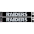 NFL Team: Las Vegas Raiders