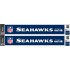 NFL Team: Seattle Seahawks