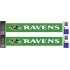 NFL Team: Baltimore Ravens