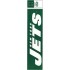 NFL Team: New York Jets