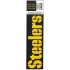 NFL Team: Pittsburgh Steelers