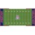 Arizona Wildcats Field Cover Kit