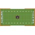 NCAA Field Cover: Auburn Tigers