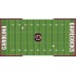 NCAA Field Cover: South Carolina Gamecocks